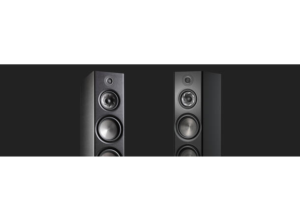 Polk Reserve R700 - Valnøtt Toppmodellen i Reserve-serien 