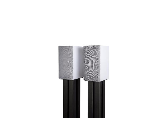 Polk Reserve R100 - Hvit Stativhøyttaler 