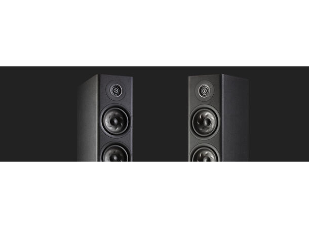 Polk Reserve R500 - valnøtt Gulvstående høyttaler 