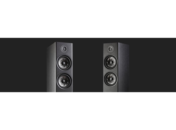 Polk Reserve R600 - Sort Gulvstående høyttaler 