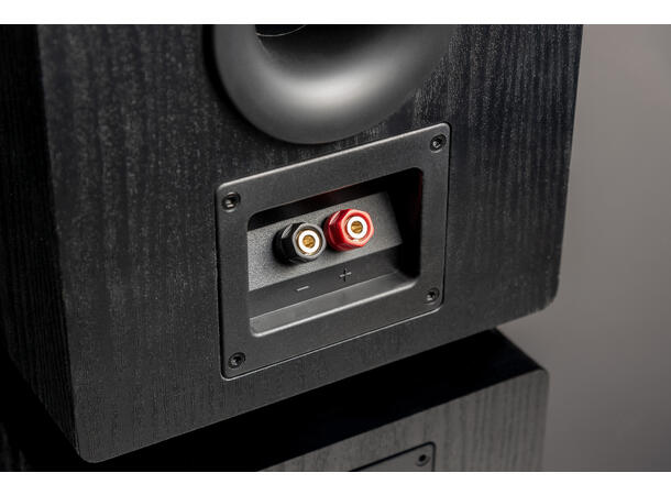 SVS Prime Pinnacle Tower - Pianosort Gulvstående høyttaler 