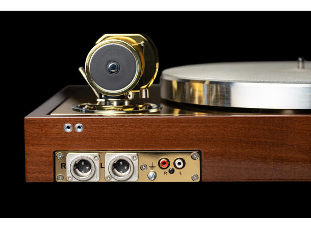 The Classic Reference - acacia/brass HG Uten pickup 