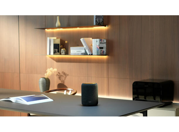 WiiM Sound Lite - sort Trådløs multiromshøyttaler 