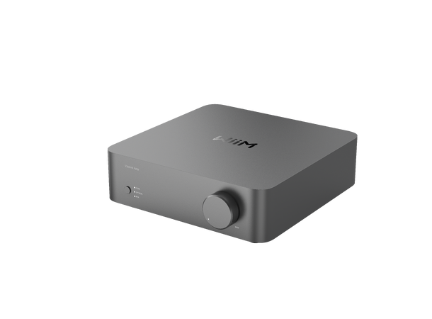 WiiM Vibelink - grå Effektforsterker for WiiM 