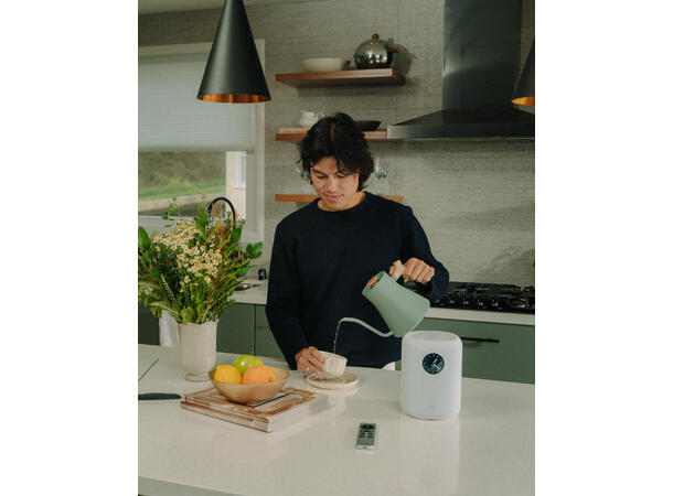 WiiM Sound - hvit Trådløs multiromshøyttaler 