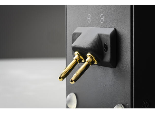 Pro-Ject Wireless Box E - sølv Strømmeforsterker med høyttalerkobling 