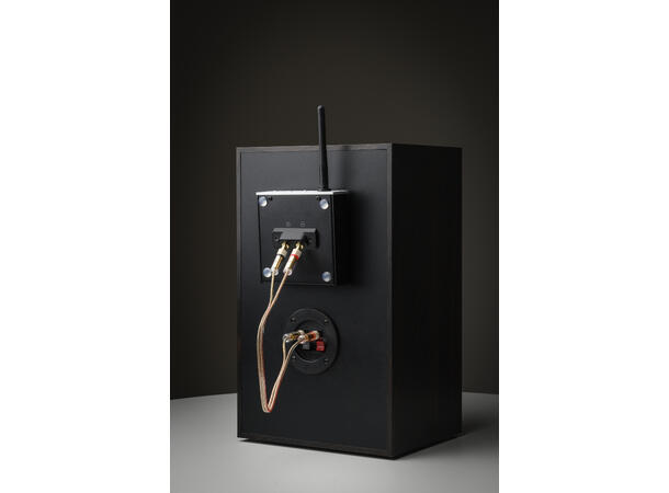 Pro-Ject Wireless Box E - sølv Strømmeforsterker med høyttalerkobling 