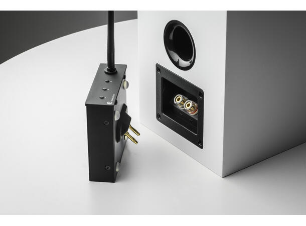 Pro-Ject Wireless Box E - sølv Strømmeforsterker med høyttalerkobling 