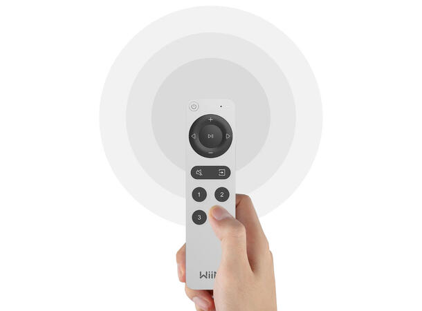 WiiM Voice Remote 2 
