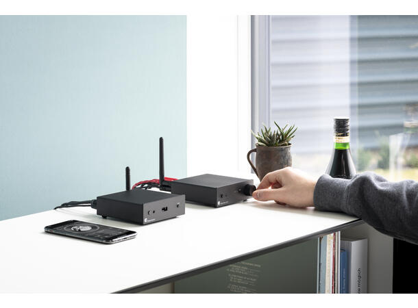 Pro-Ject Stream Box S2 - sølv Kompakt, avansert streamer 