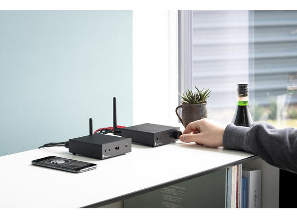 Pro-Ject Stream Box S2 - sølv Kompakt, avansert streamer 