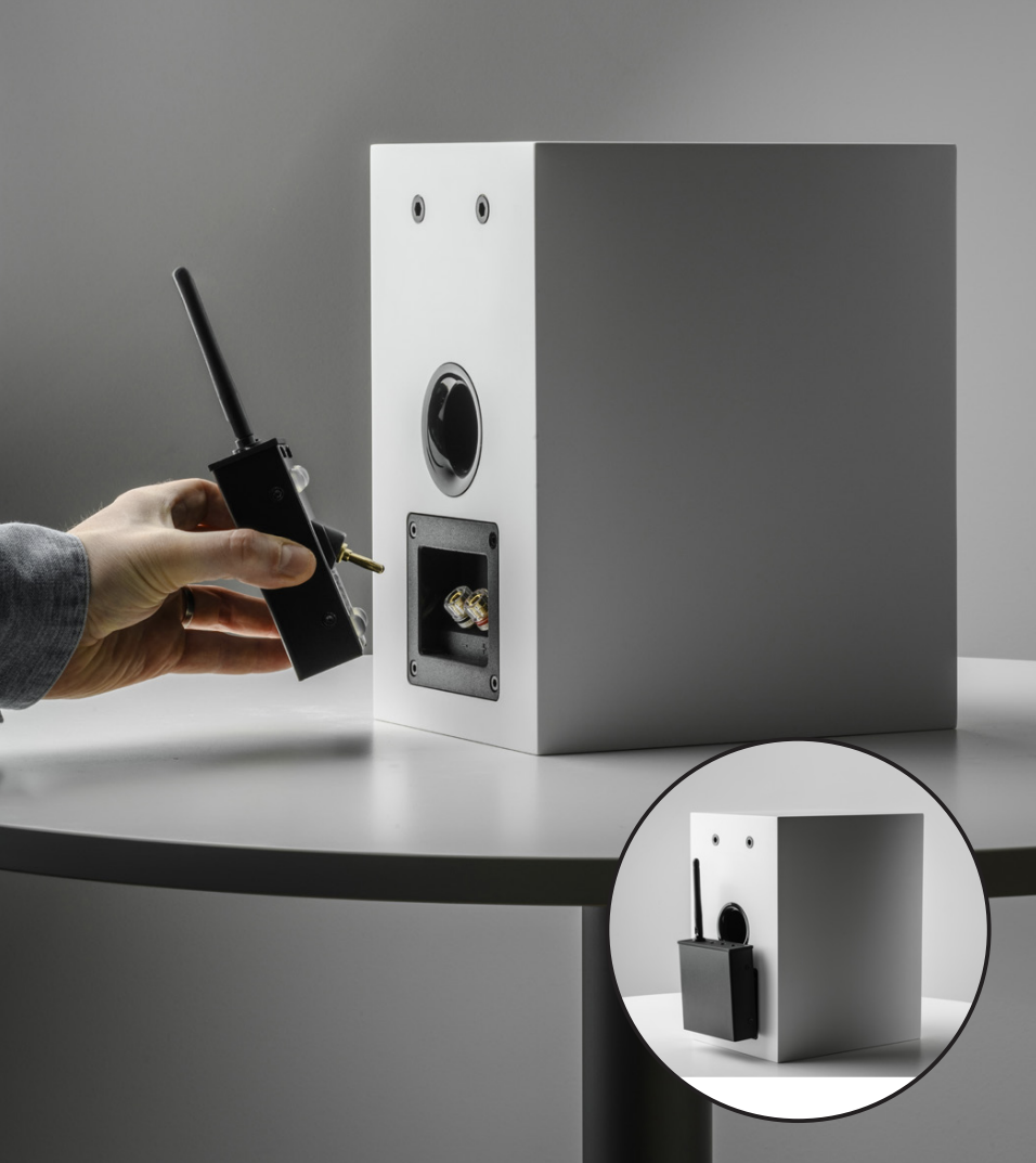 Pro-Ject Wireless Box E