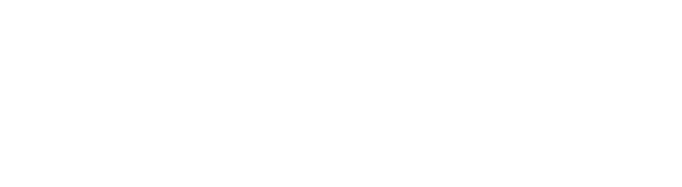 WiiM.no-logo